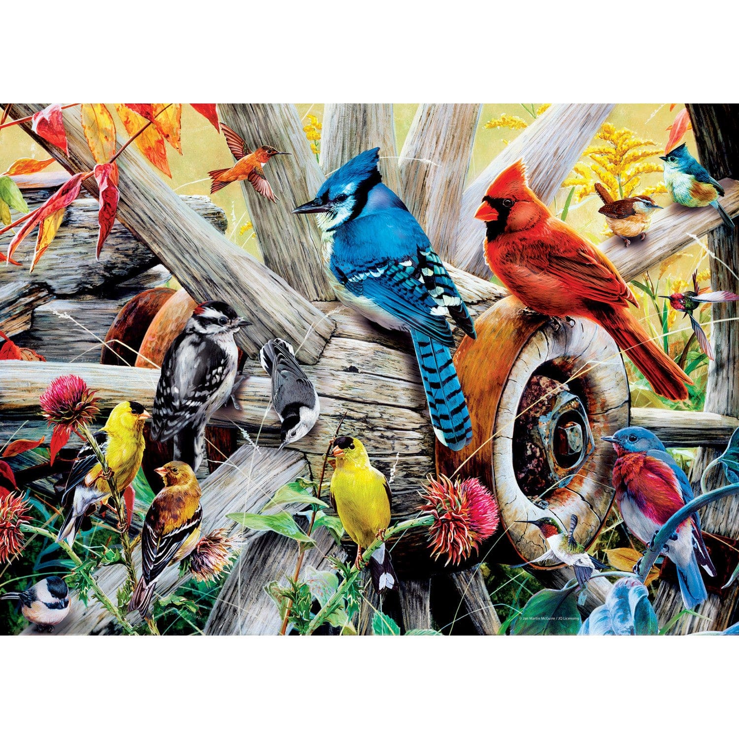 Audubon - Backyard Birds 1000 Piece Puzzle